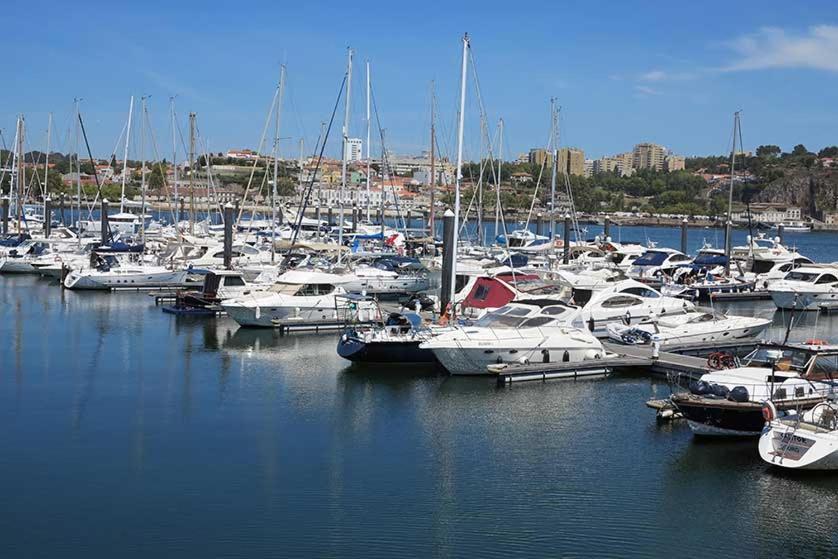 Porto Arrabida Gaia, Big Comfortable, 4Or6 Pax, Ground Floor Vila Nova de Gaia Eksteriør billede